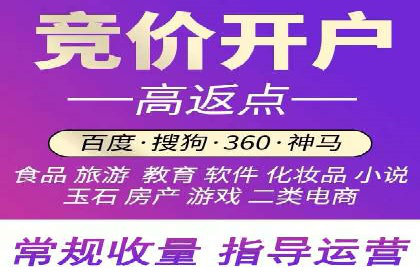 SEM托管成功案例：揭秘高效广告投放策略